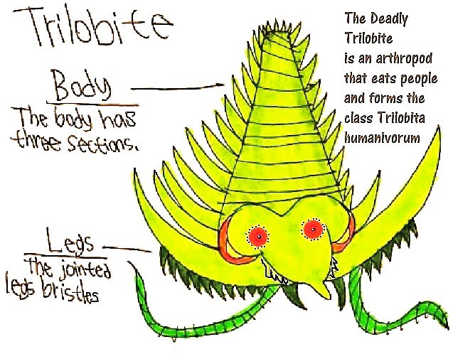 Fil:Trilobite.jpg