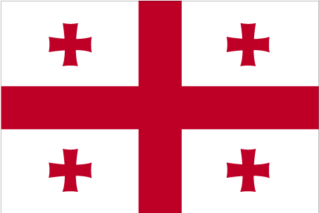 Fil:Large flag of georgia.gif