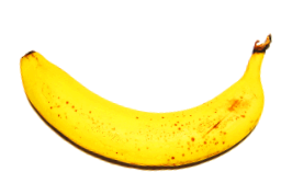 Bananen er en tilpas hurtig frugt.