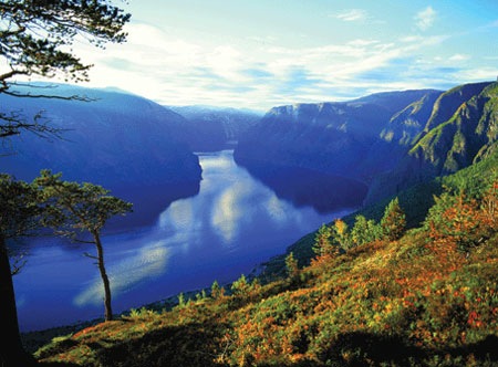 Fil:Norsk fjord1.jpg