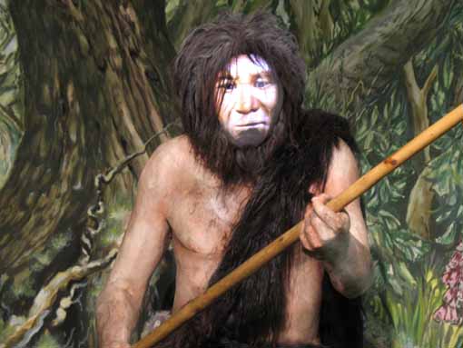 Fil:Neandertaler.jpg