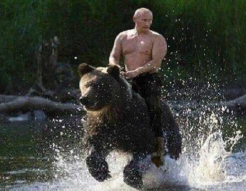 Fil:Putinbear.jpg