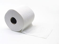 250px-Toiletpapier (Gobran111).jpg