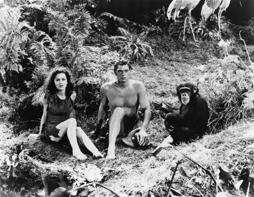 Fil:Tarzan3.jpg