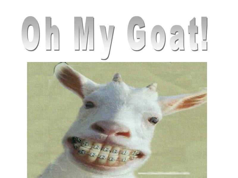 Fil:Oh My Goat!.JPG