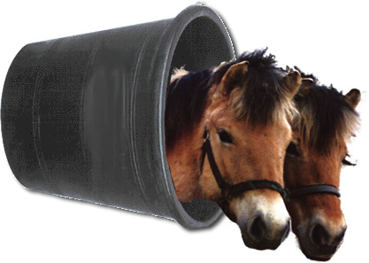 Fil:Enspand-heste.jpg
