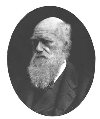 Fil:Darwin.jpg