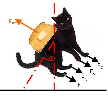 Fil:Cat toast.jpg