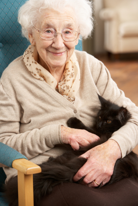 Old-person-and-cat.jpg