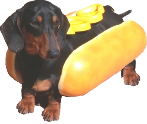 Fil:Hotdog.jpg