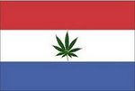 Det Hollandske flag