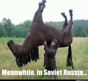 Meanwhile In Soviet Russia.jpg