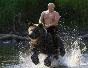Putinbear.jpg