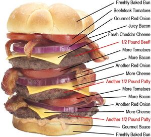 Triple bypass burger-xl2.jpg