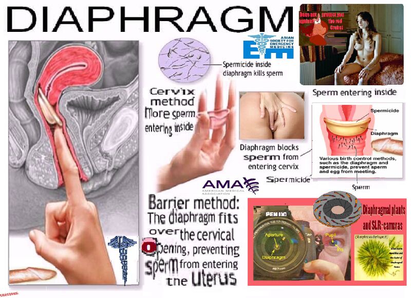 Fil:Diaphragm.jpg