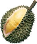 Thumbnail for Fil:Durian.JPG