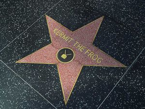 800px-Kermit the frog hollywood walk of fame.jpg