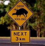 Bs-funny-sign-deer-crossing.jpg
