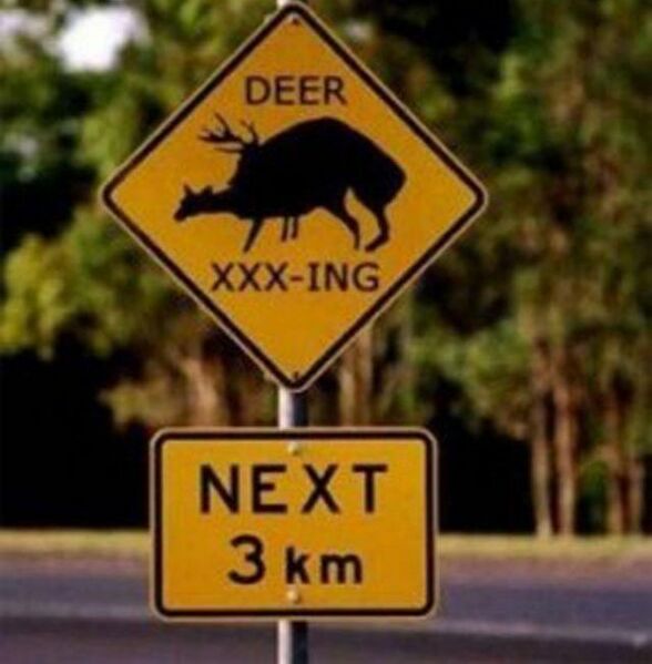 Fil:Bs-funny-sign-deer-crossing.jpg